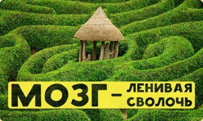 Читать: Мозг — ленивая сволочь Мозг — ленивая сволочь